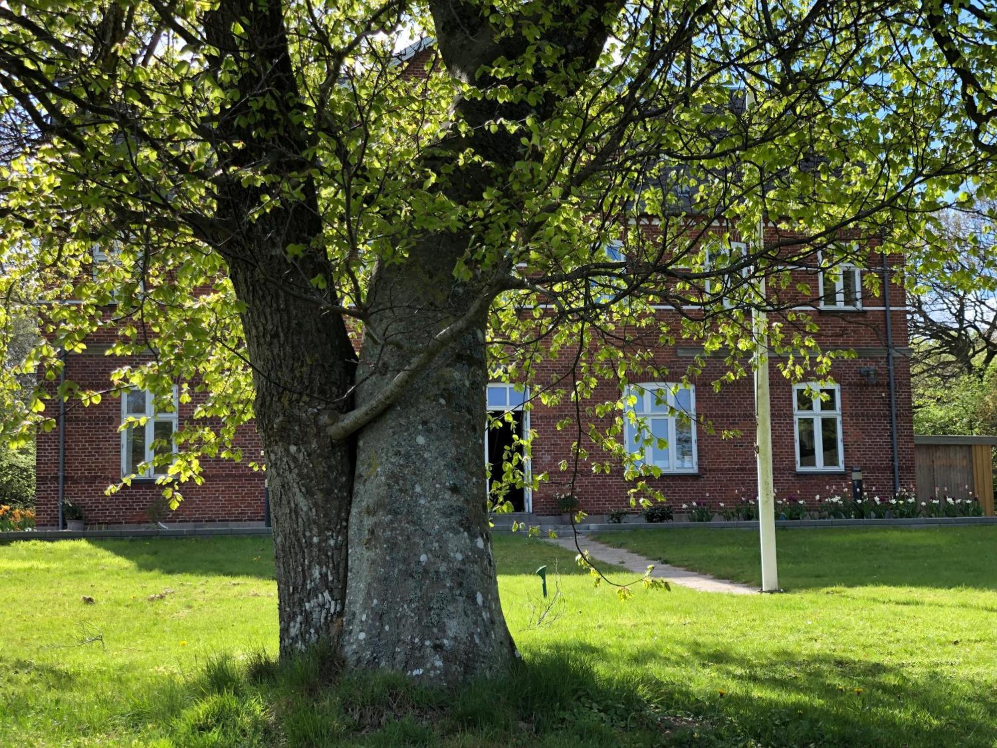 Rolykke Hotel Sæby Exterior foto